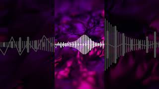 Tinnitus Audio Healing : Highly Effective Soundscape to Ease Annoying Ear Noise.2 & Tinnitus Research Center : Certified Soundscap - Tinnitus Research Center