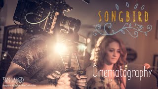 The Cinematography of 'Songbird' (2018)