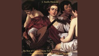 Fusion for Violin, Piano and String Orchestra - Orchestra L'Anello Musicale