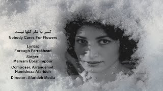 Nobody Cares for Flowers - Hamidreza Afarideh