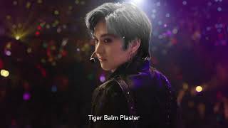 Tiger Balm Plaster 2022 (English) &ndash; 15s