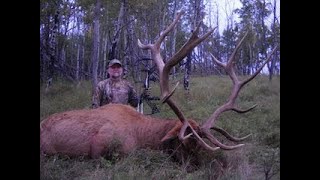 Elk Bugles: Know the Language