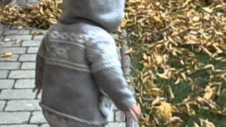 Stella Raking Leaves