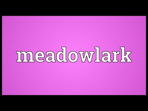 Meadowlark Meaning