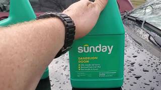 Does Sunday Dandelion Spray Work? Lawn Daddy LLC Review