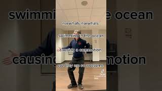 chat the clips are not mine creds to the owners #narwhals #narwhal #viralvideo #viral #fyp