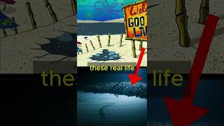 Is SpongeBob ACTUALLY Underwater?!👀🤣