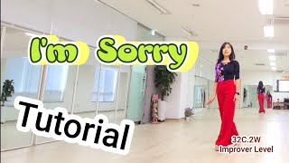 I'm Sorry Linedance (Tutorial) Improver Level