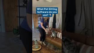 Share them in the comments and tell us what feature you love the most! #petsittingsoftware #shorts
