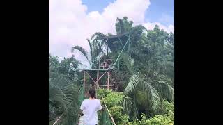 Where to on Summer? || Summer 2023 || Noah&rsquo;s Park Resort Hotel