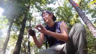 Songbird Banding Internship
