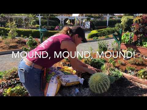 Laura Eubanks Youtube - Elegant Mountain Illustration - High Resolution