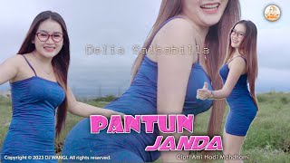Dj Pantun Janda - Delia Salsabila ((Official Music Video)
