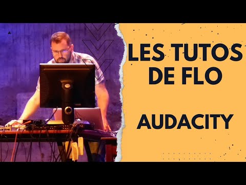 Audacity 2 : Import et pistes