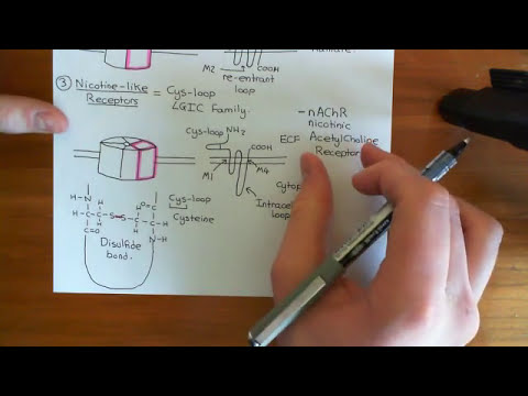 The P2X Receptors Part 1