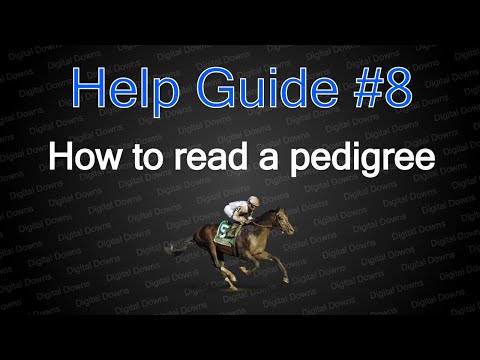 How To Read Horse Pedigrees Help Guide 8