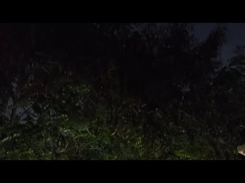 Daily Live Streaming Youtube - Premium Space Picture Gallery - Retina