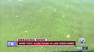 More toxic algae bloom found in Lake Okeechobee