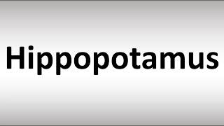 How to Pronounce Hippopotamus