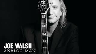 Joe Walsh -  One Day At A Time from Analog Man