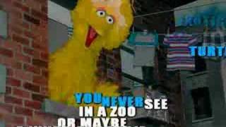 Big Bird's ABC word