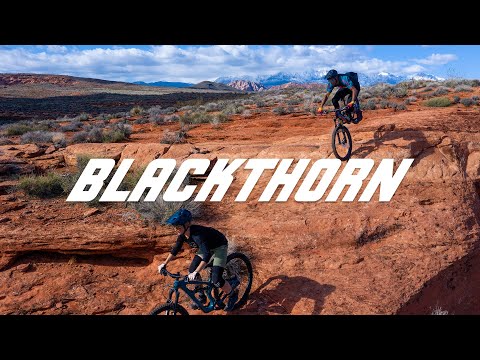 Salsa Blackthorn All Mountain Bike