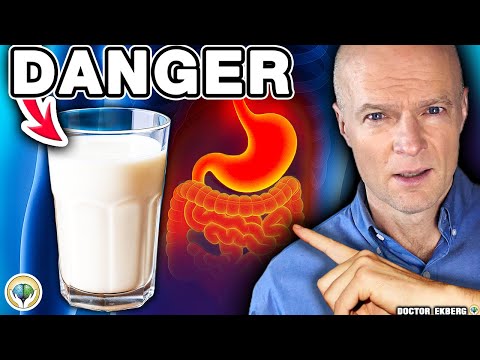 Top 10 Most Harmful Foods That Destroy Your Gut