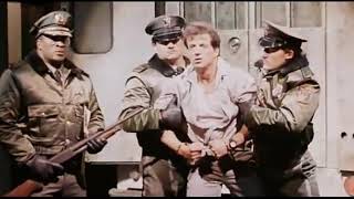 Survivor - Ever Since the World Began Lock Up (1989) Theme 1 hour