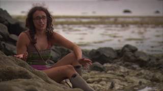 Survivor - We're Very Different People