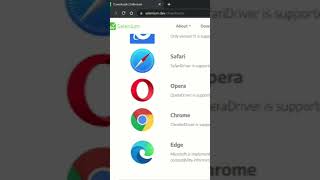 Selenium Automation - Starting Chrome Browser - Option #1 - Using a File Path