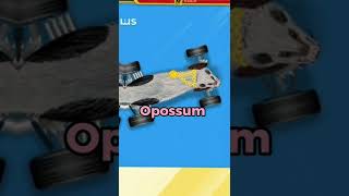 What the nitro type wampus really is... #shorts