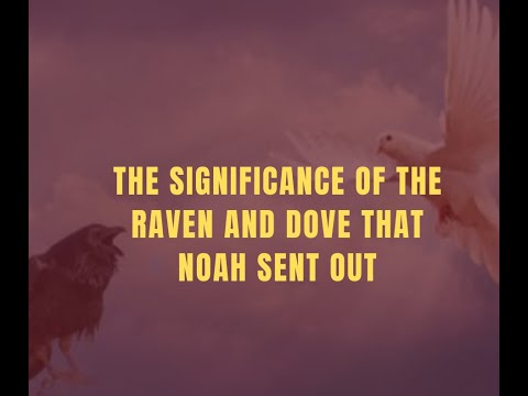Why did Noah release a raven?