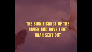 Why did Noah release a raven?