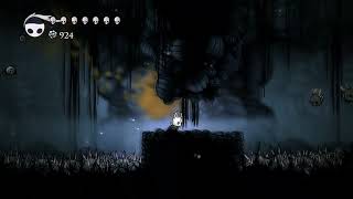 Hollow Knight - Grub 1 Located In The Hive