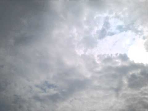 Memory - Cats (Lyrics Video)