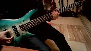 Shaggy It Wasnt Me BassPlayalong