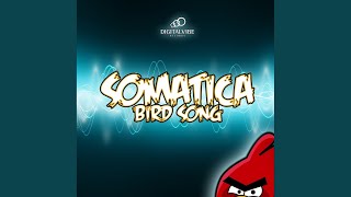 Bird Song (Radio Mix)