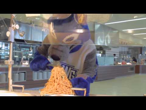 Wolfie Gets Accepted To Uwg