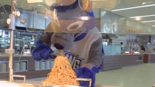 Wolfie Gets Accepted to UWG!