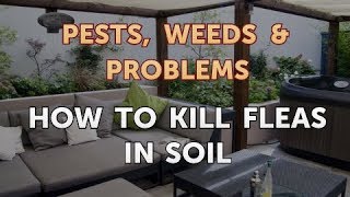 How to Kill Fleas in Soil
