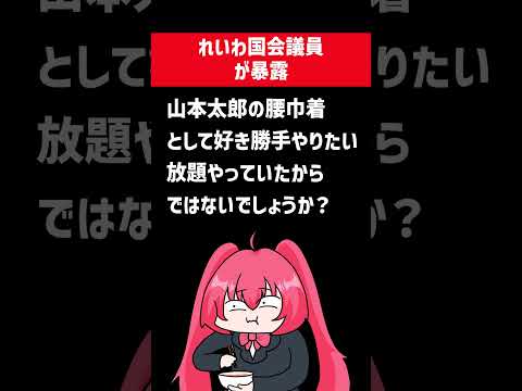 れいわ新選組、なんと現職の参院議員の大島九州男が党内の確執についてYouTubeで堂々と暴露してしまう。れいわローテーションについての秘密を暴露。大石あきこから色々理不尽なことを言われていたよ