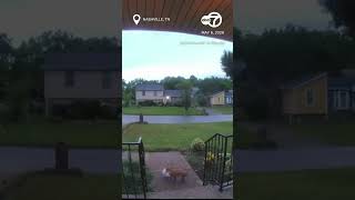 Tiny dog steals food delivery from front porch