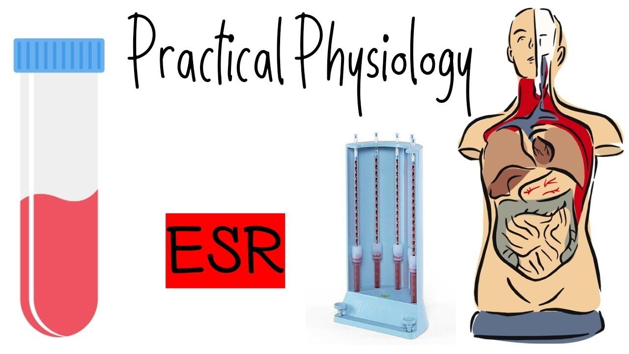 Esr Practical Pathology Youtube - Geometric Image Collection - Ultra HD Quality