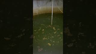 Abandoned Sulfuric Acid factory #factory #viral #urbex #abandoned #shorts #explore #reels