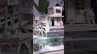 Tiny House with Real Fish 🐠