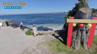 Lovers Point Beach & Park | Pacific Grove, California | WhatsUpMonterey.com