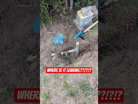 Found The Hidden Leak Garden Well Archaeology