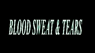 Ava Max - Blood, Sweat & Tears [Official Lyric Video]