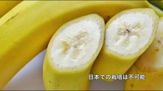 みんなで大家さんファーム2号