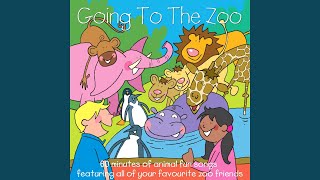 Cool Cats - Kidzone